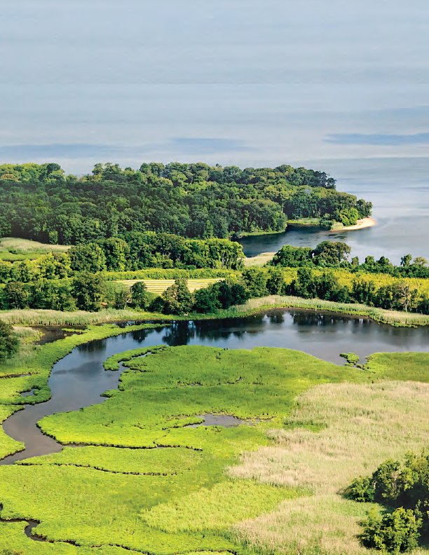 Aerial photo of the Chesapeake Bay