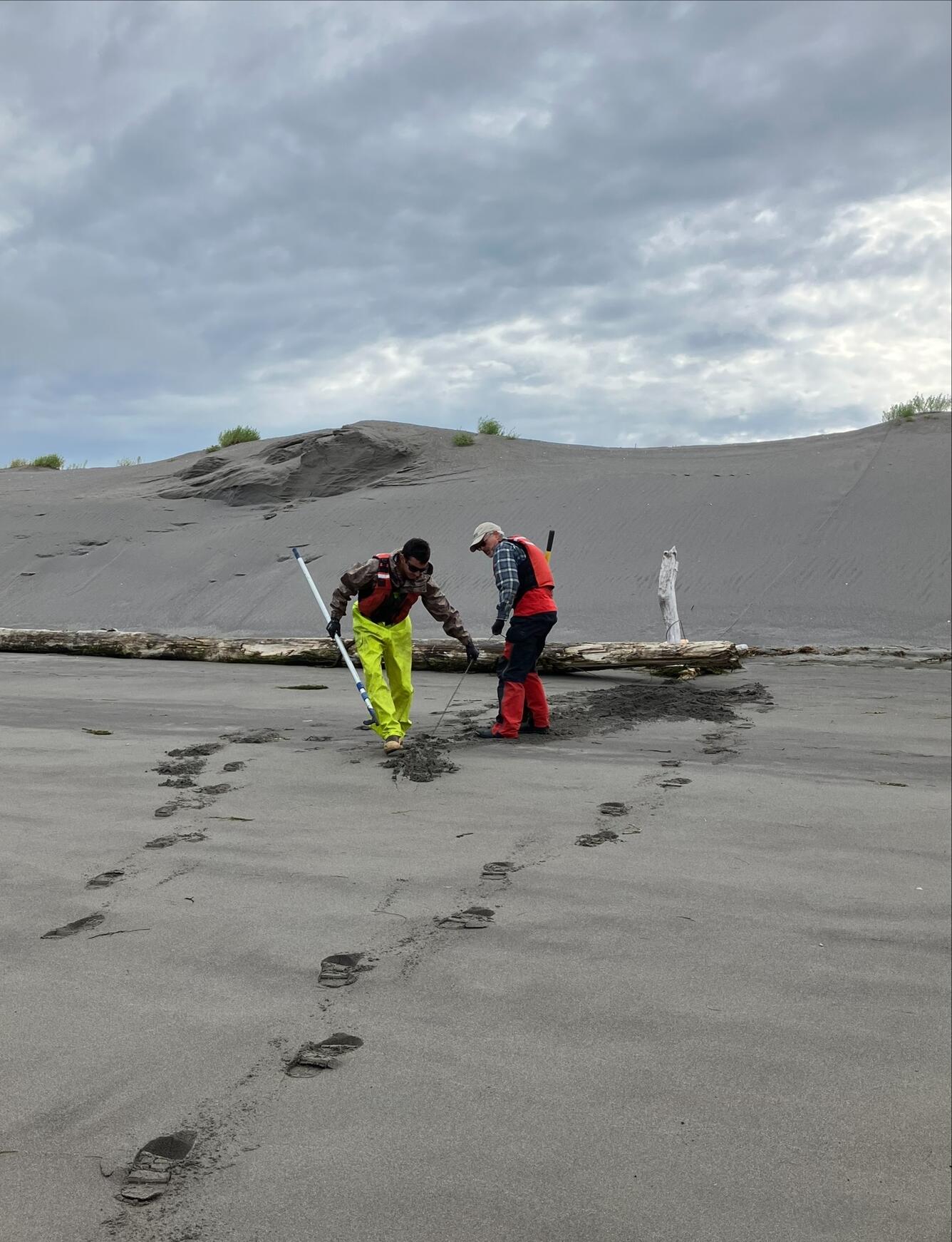 Two scientists unearth the buried cable tethering an acoustic receiver to shore in the Columbia River