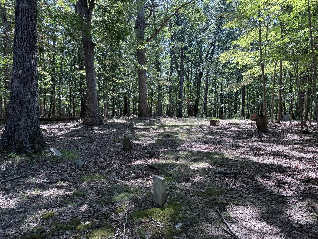 Christ Church Cemetery Ground View