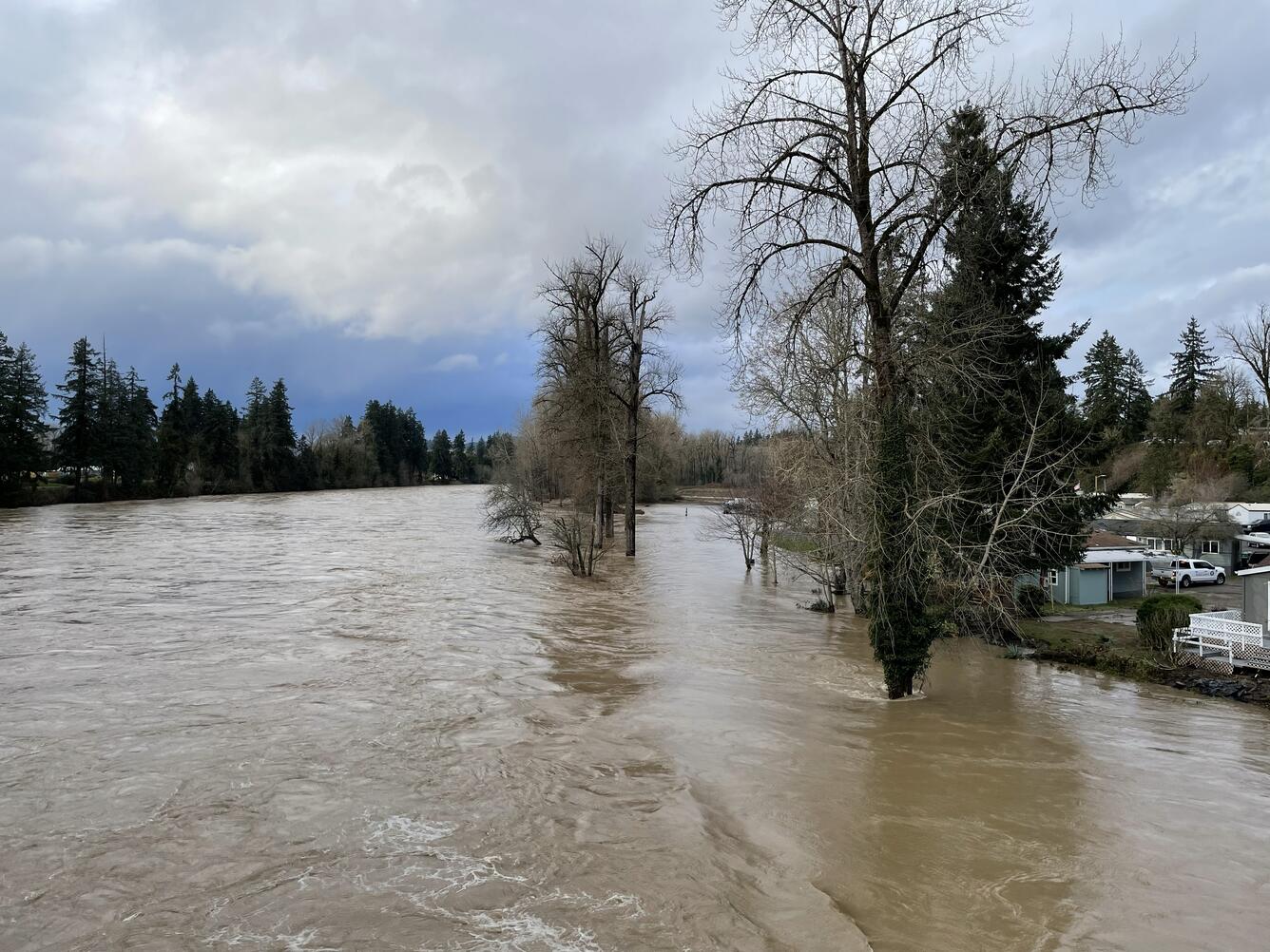 brown water floods trees and is dangerously close to mobile homes along the river. Flooded trees line banks on a cloudy day.