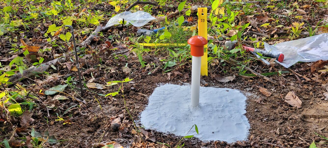 Photograph of Clay Pad used for monitoring deposition. 
