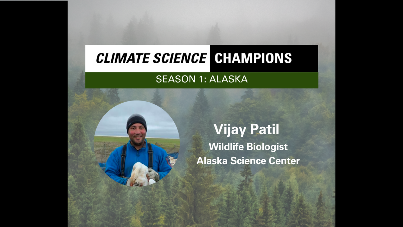 Misty pine trees overlaid with a photo of a smiling man in warm clothes holding a sea bird.