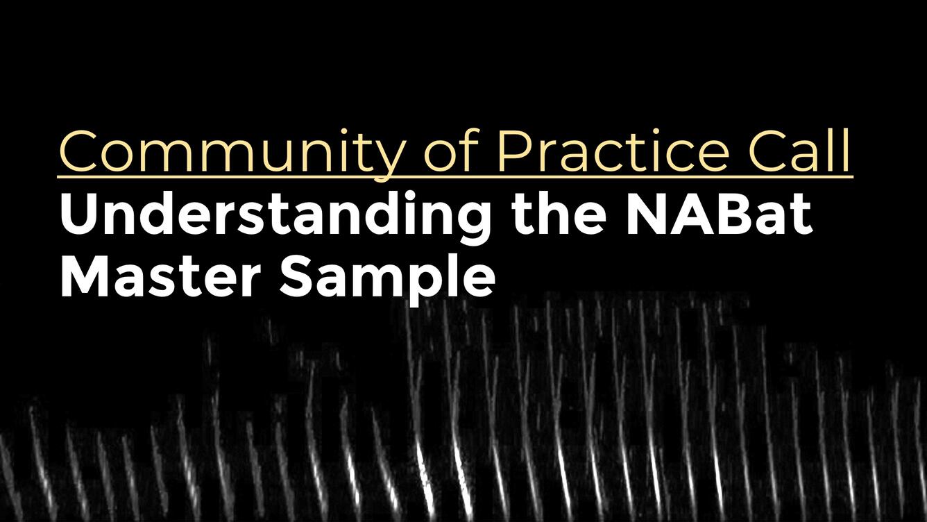 Black background with text "Community of Practice Call:  Understanding the NABat Master Sample" in white text