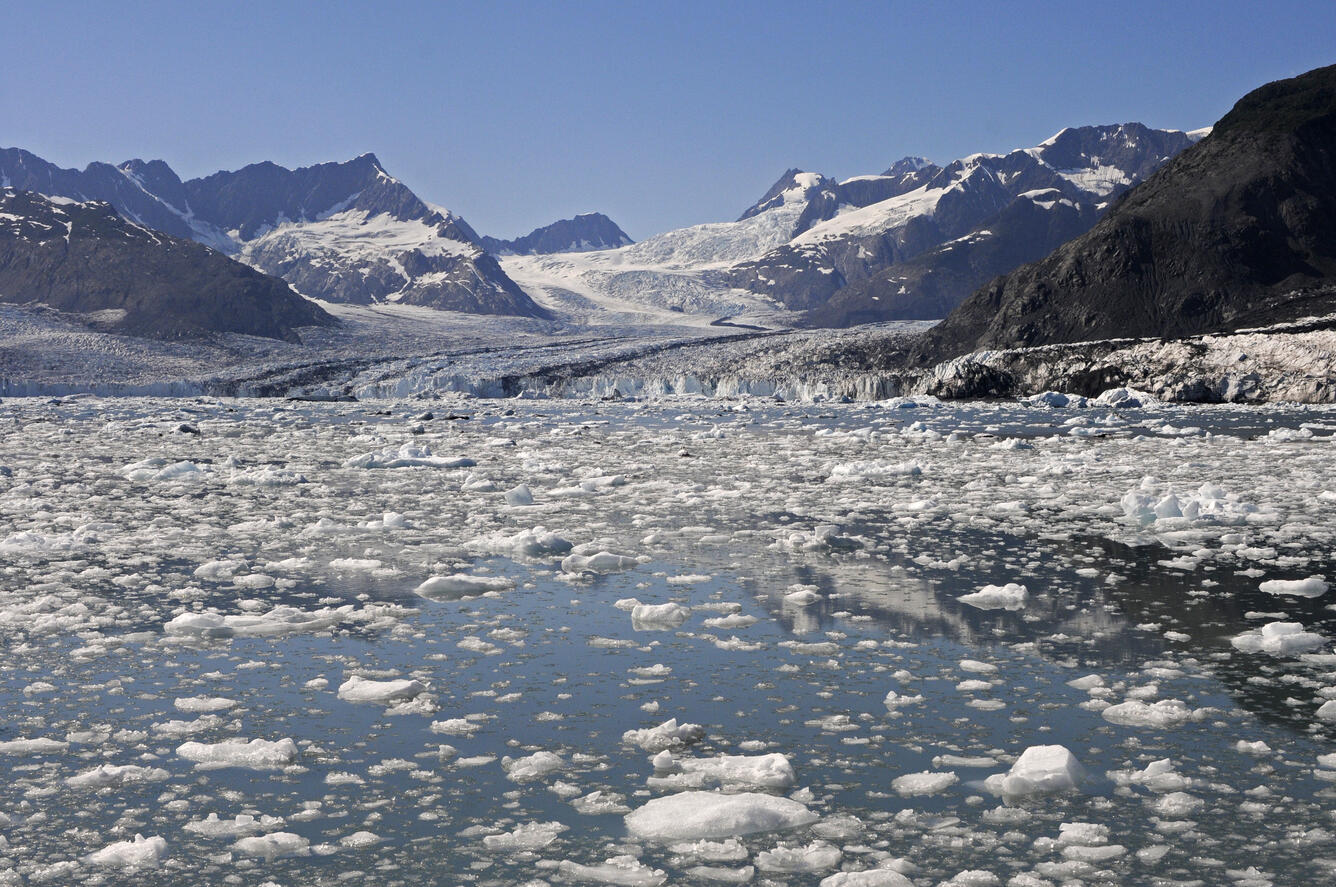 Photo of Columbia Glacier. Habitat for Kittlitz’s Murrelets.