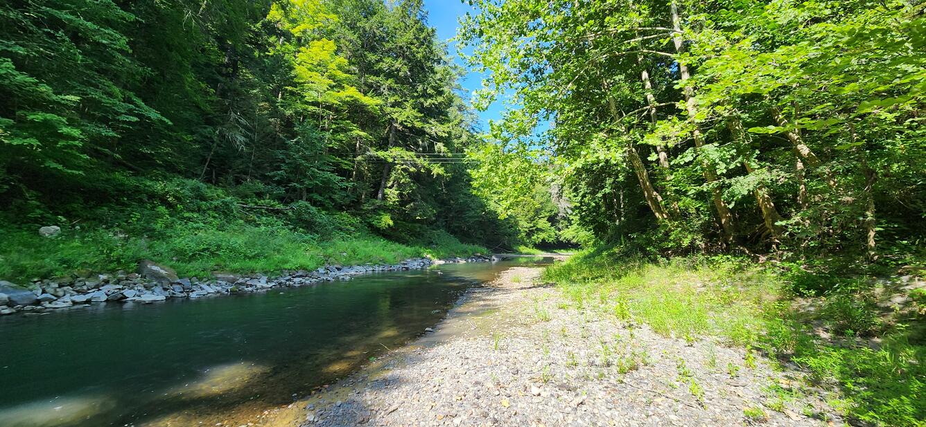 A drier stream bed in the summer. 