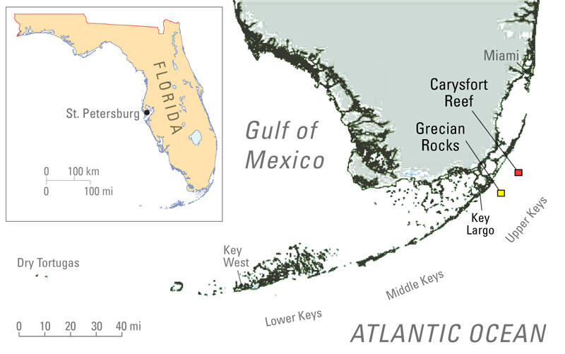 Map shows coastal locations where studies have been conducted.