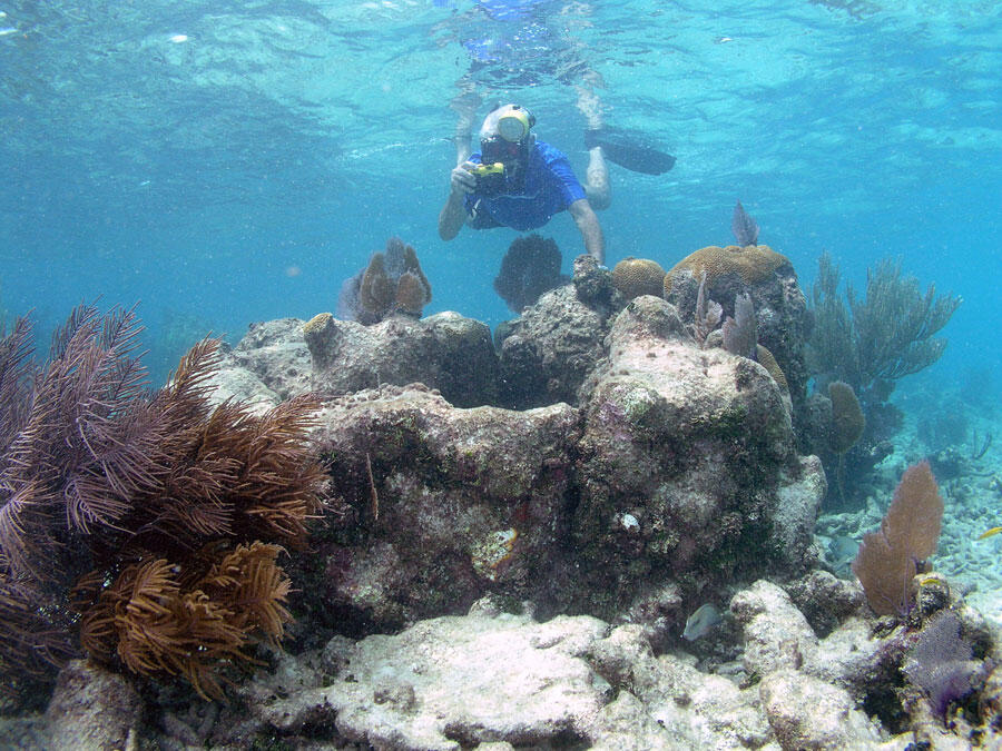 A person floats in the water above a coral reef wearing snorkeling gear and holding an underwater camera.