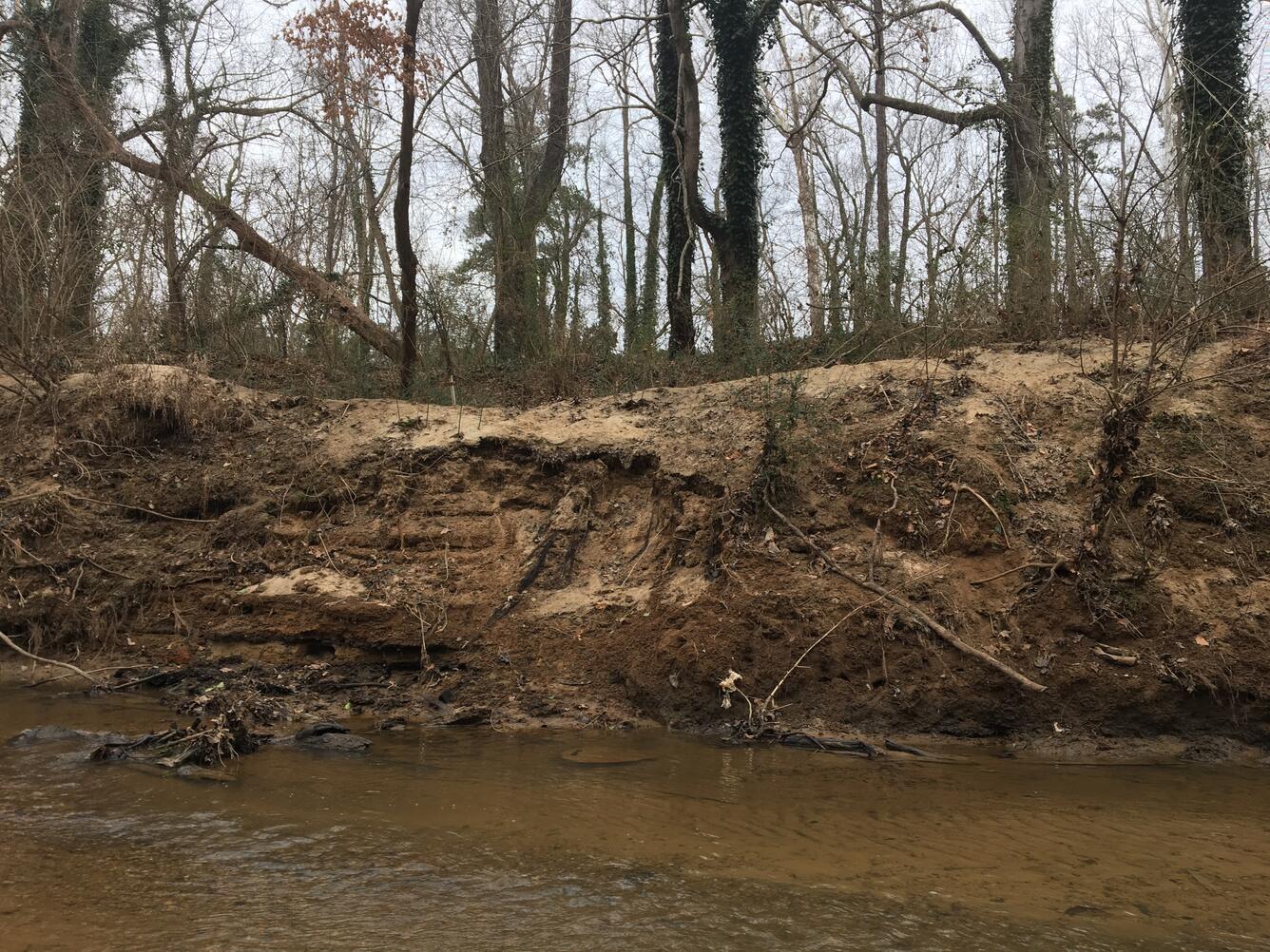 Streambank erosion along Crabtree Creek in Raleigh, NC