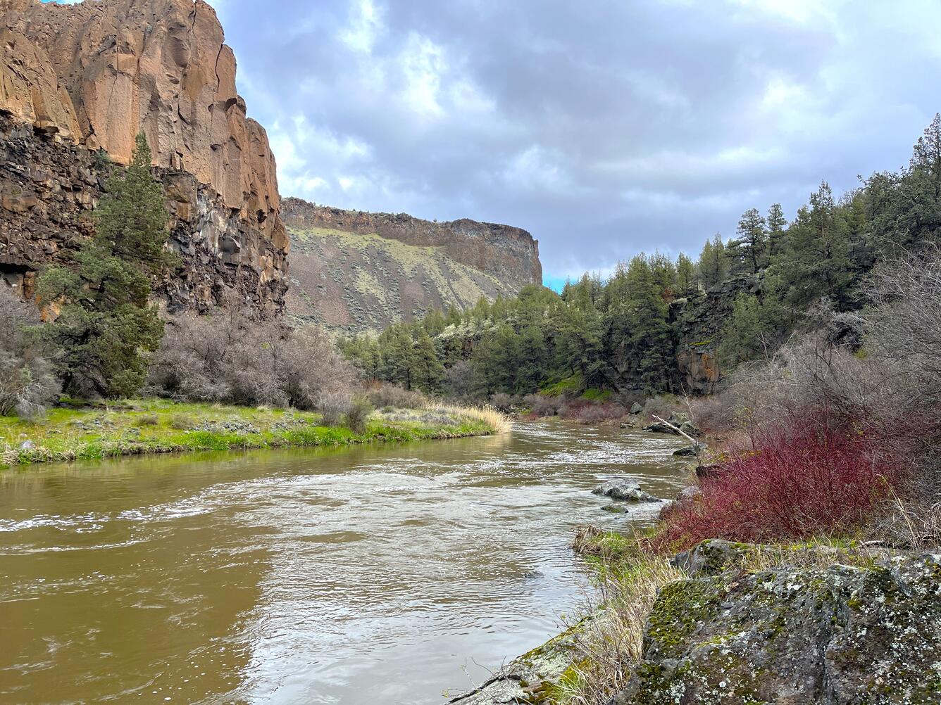 grey-brown river winds around a bend against the shear canyon of brown-black basalt rock. Cloudy winter day