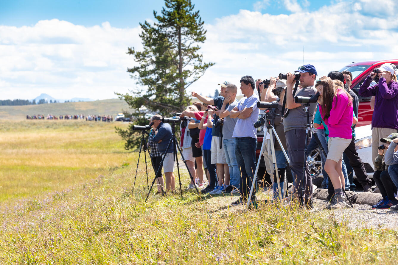 hundreds of people form a line along a road, holding telescopes, binoculars, cameras. Some point out to a field.