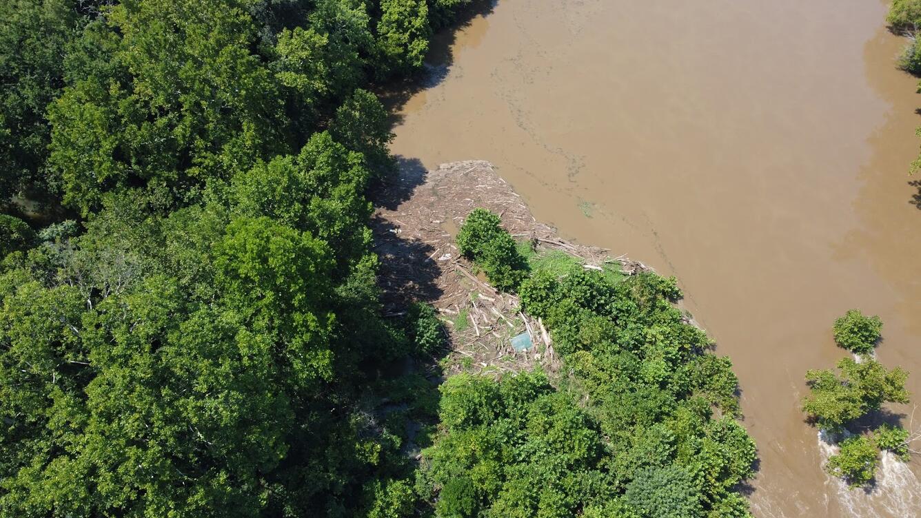 Aerial photo of debris carried downstream by a turbid, flooded river until it becomes caught in the trees along the bank.
