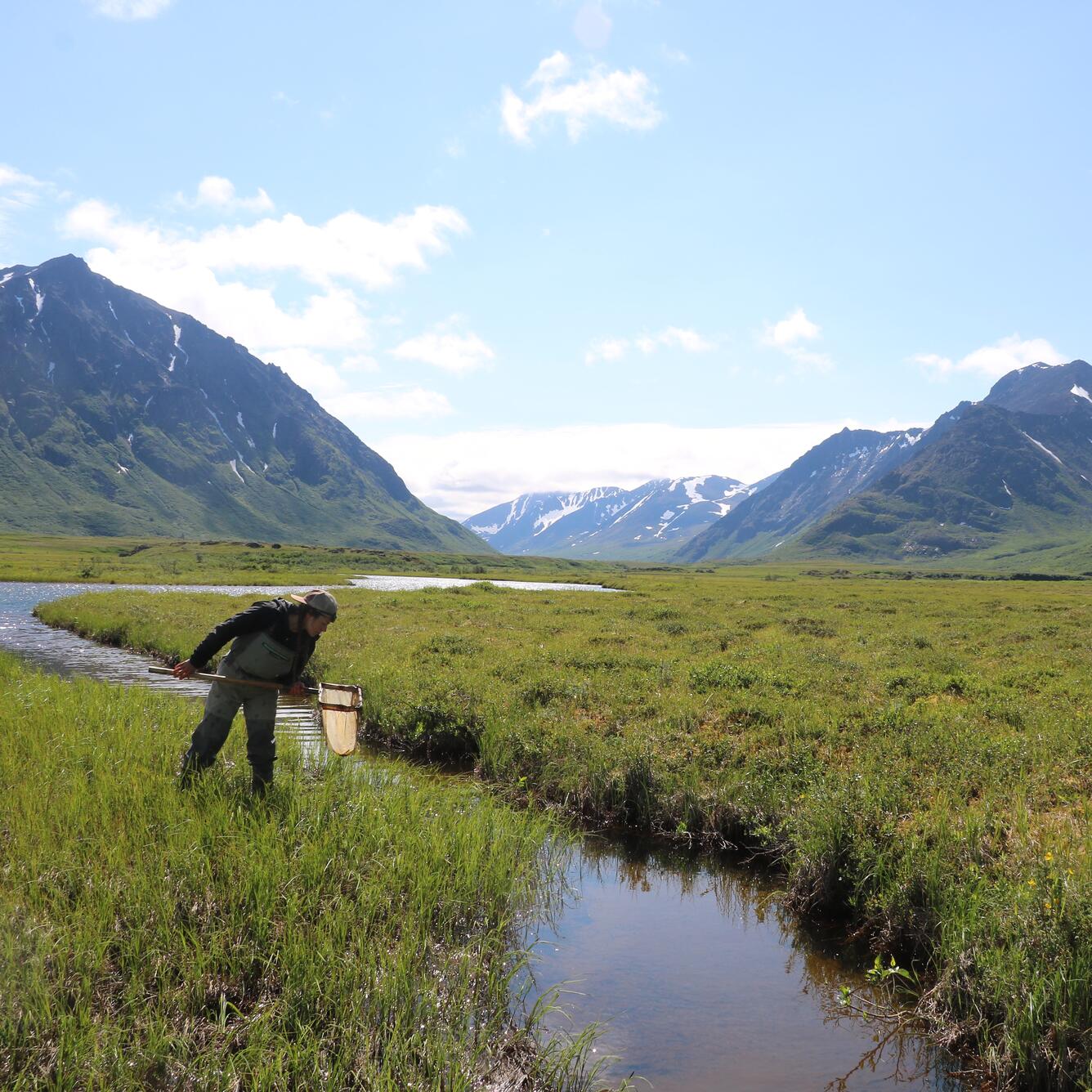 a person looking into a net standing on the shore of a stream running through a mountainous area