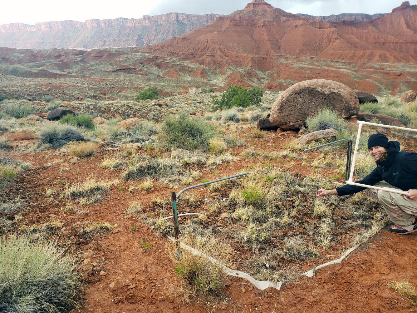 A scientist holds a research grid like a frame around her while reaching over a drylands study plot in Canyonlands NP