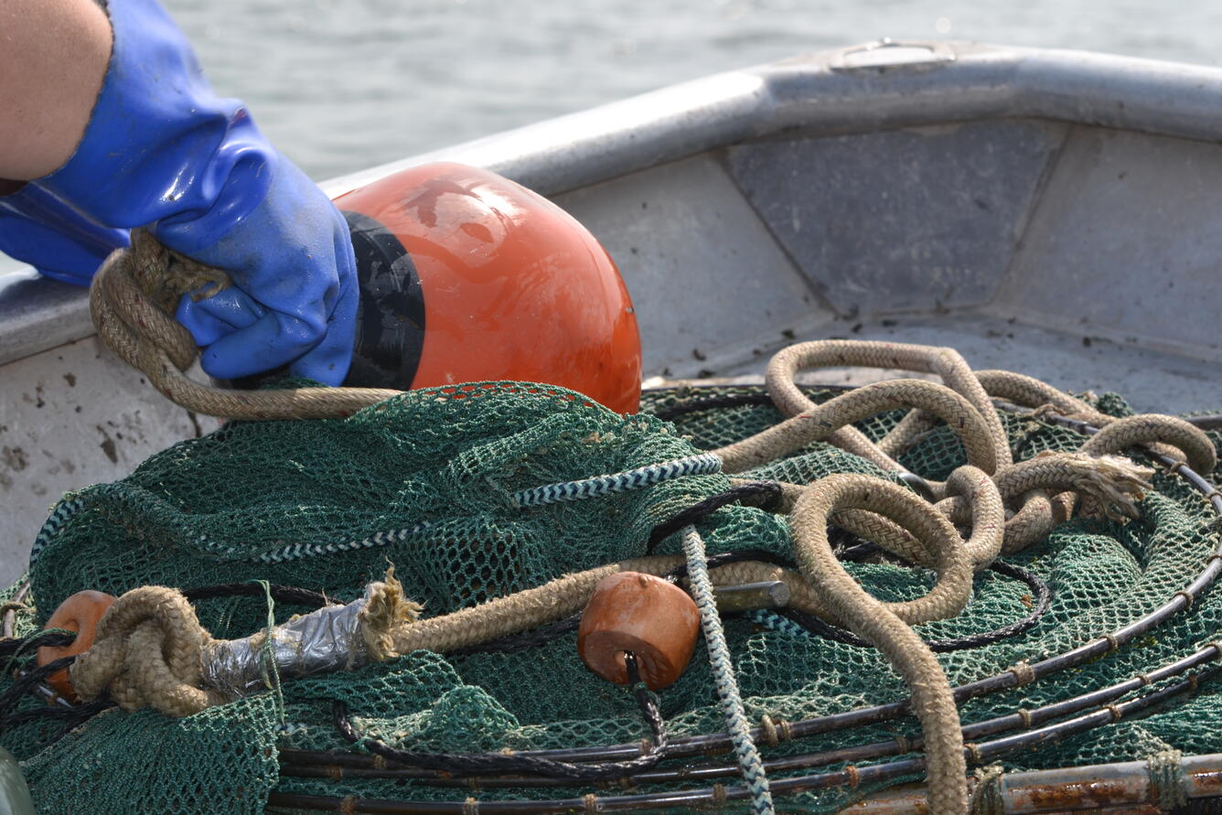 nets used for sampling juvenile endangered Klamath suckers in Klamath, OR