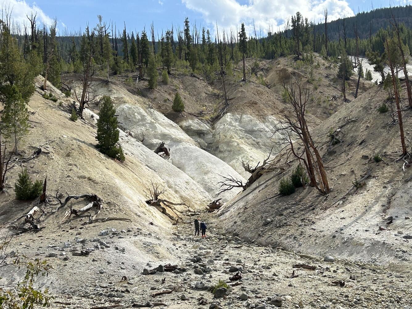 small V-shaped valley with tan/white walls and sporadic small trees