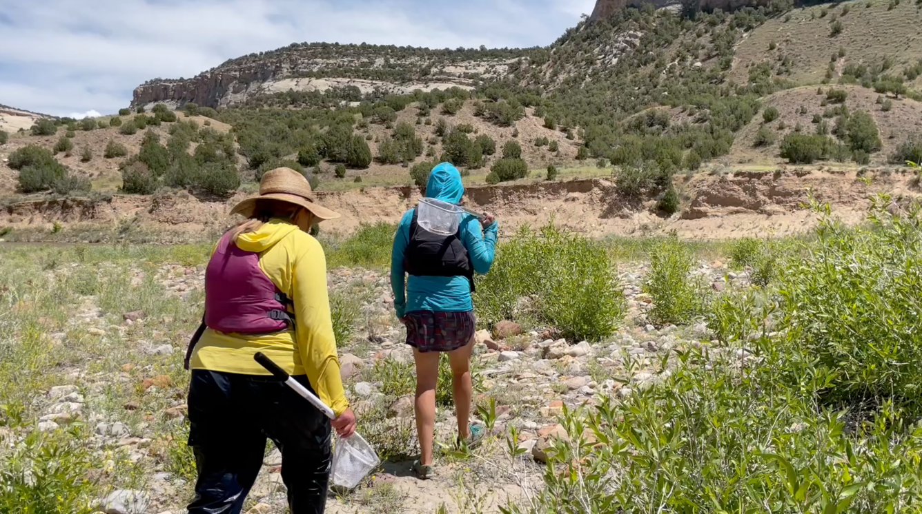 Public participants survey an arid landscape for dragonfly larvae. 