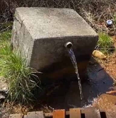 Figure 1: Discharge from original chase street well. June 2020 Pollard