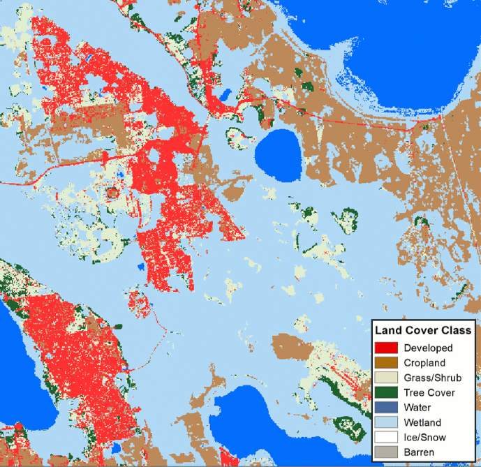 screen shot of Disney Wilderness Preserve Land Cover animation