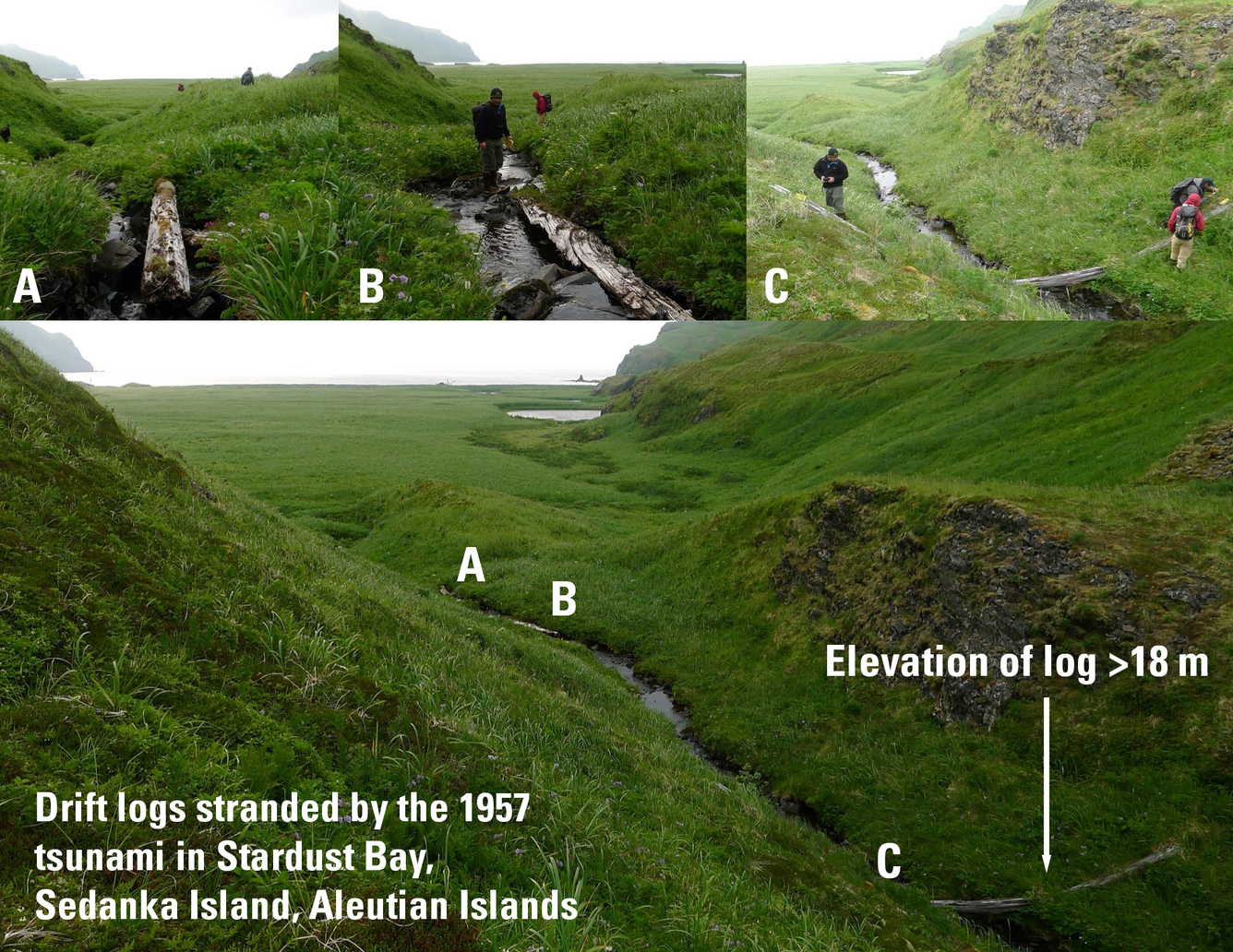 Collage of images showing drift logs stranded by 1957 tsunami in Stardust Bay Sedanka Island Aleutians