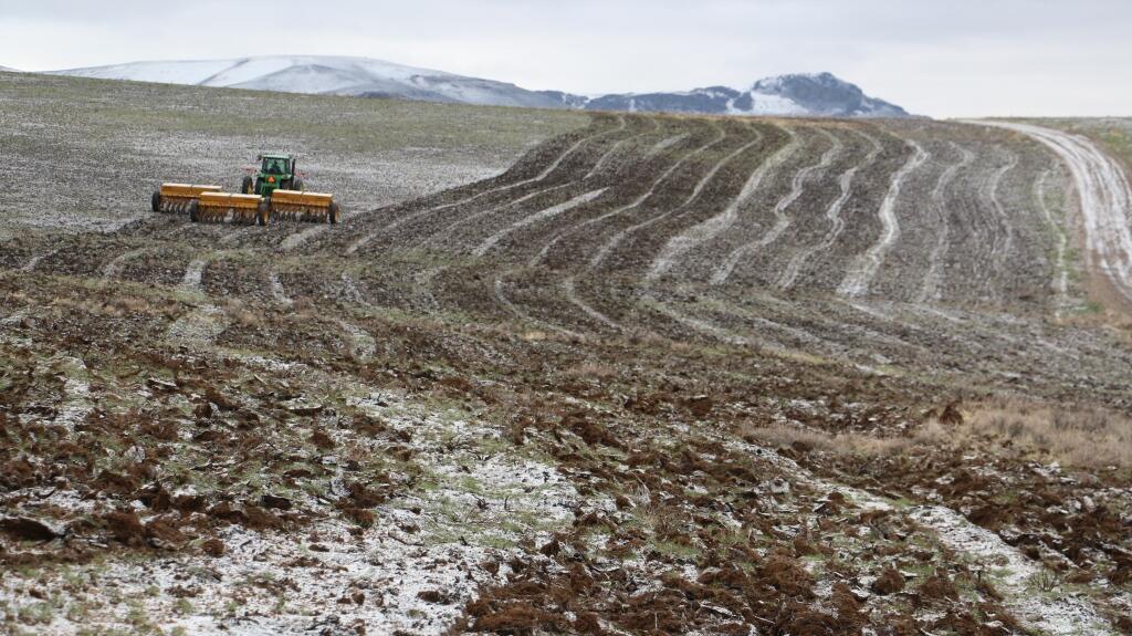 a tractor pulls drill seeders across a large, burned landscape, creating lines in the dirt and ash