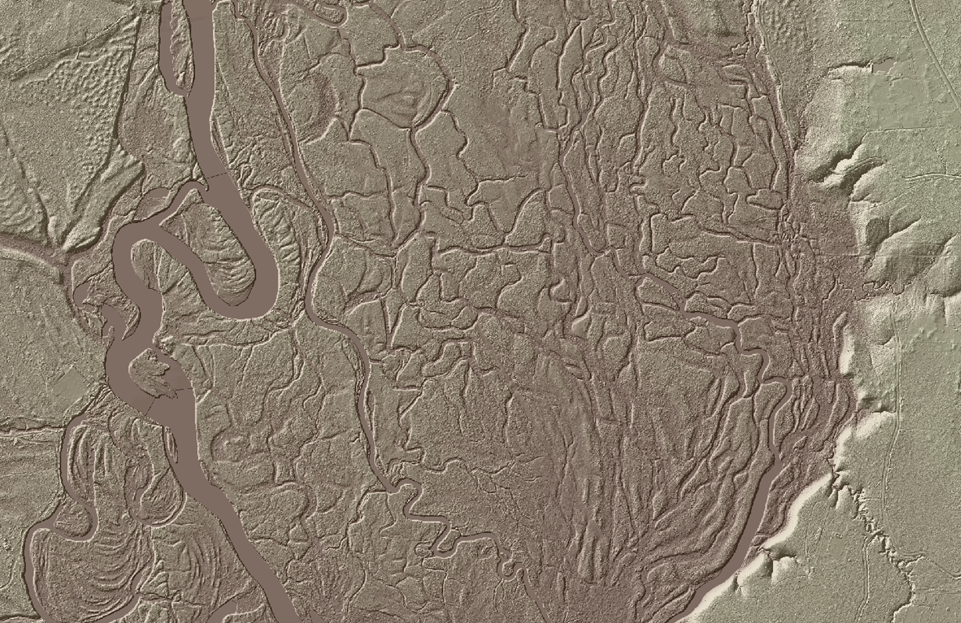 An overhead image of an area with multiple braided stream channels. 