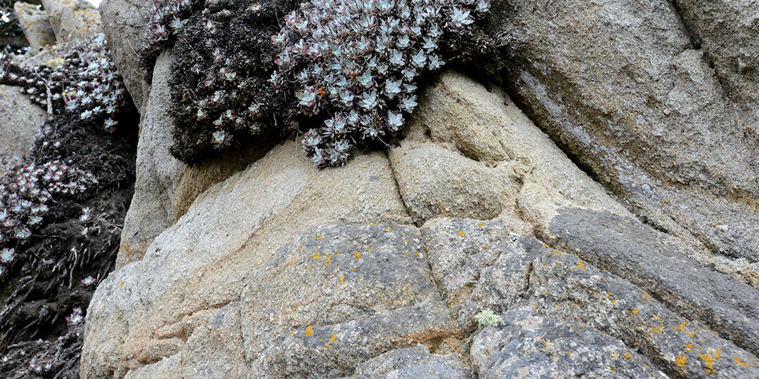 Energy Quarterly: Spring 2021