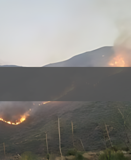 image of hillside with a wildfire