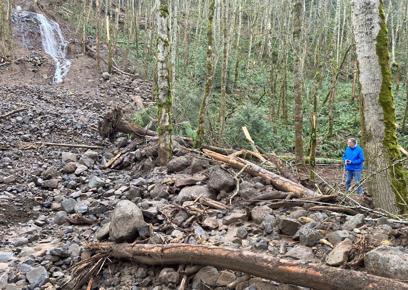 rocks, trees, and mud on ground in front of waterfall