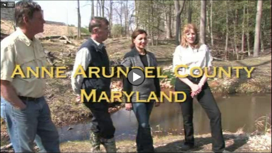 Cover photo for ecosystem restoration video 