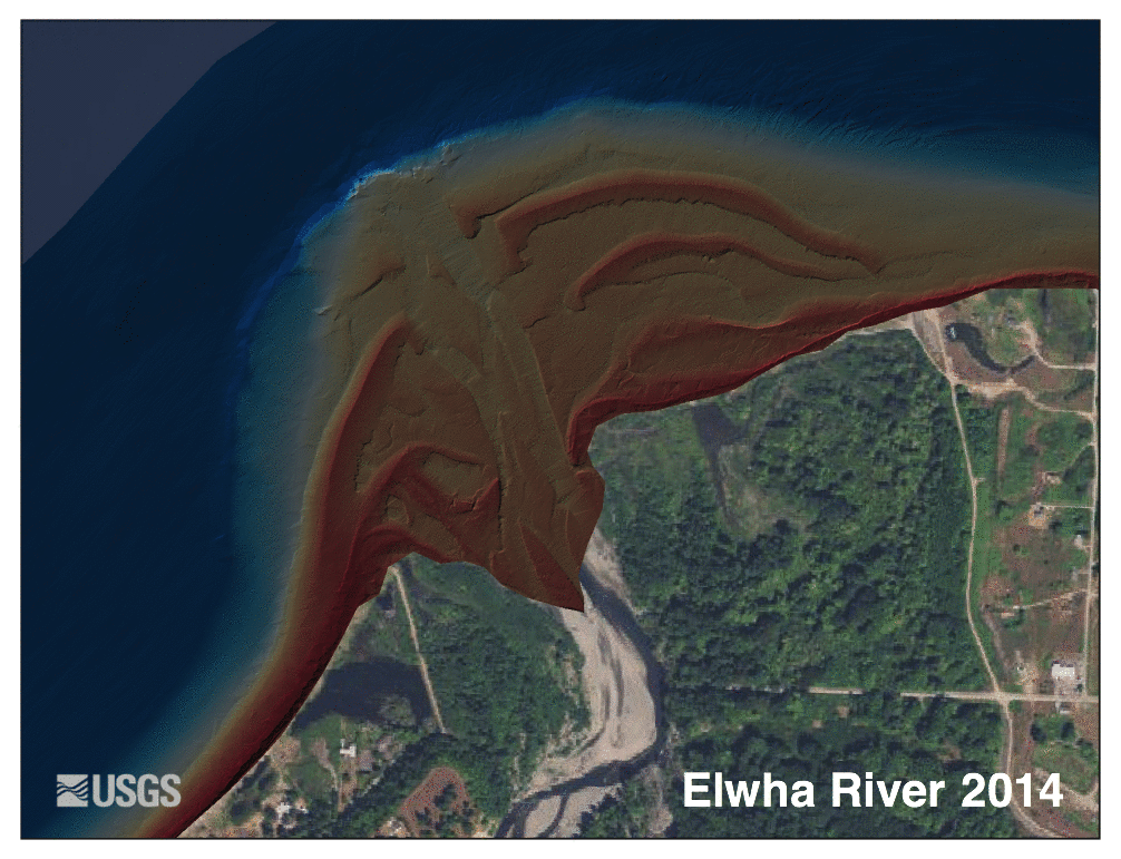 animated satellite images showing sediment outflow over time from Elwha River