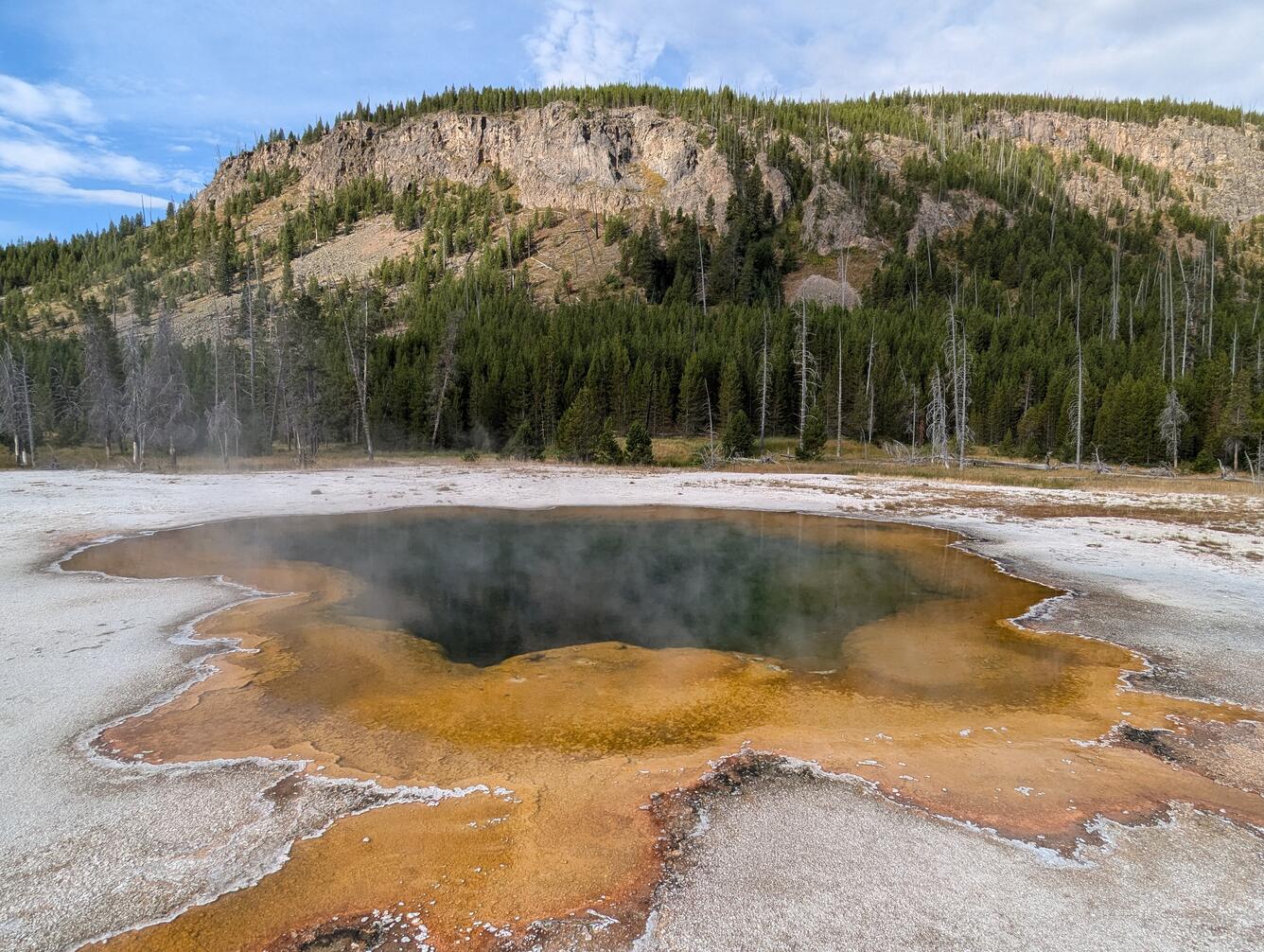 Green hot spring with red edges in a barren white landscape, with trees and a rocky cliff in the background under blue sky