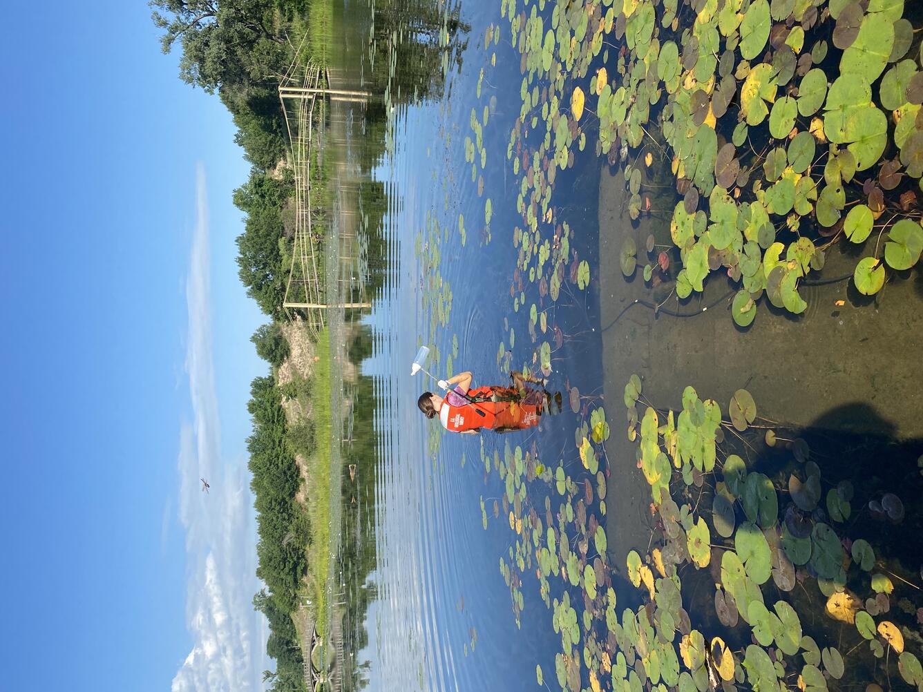 A woman stands in the water amongst lily pads holding a sampling bottle.
