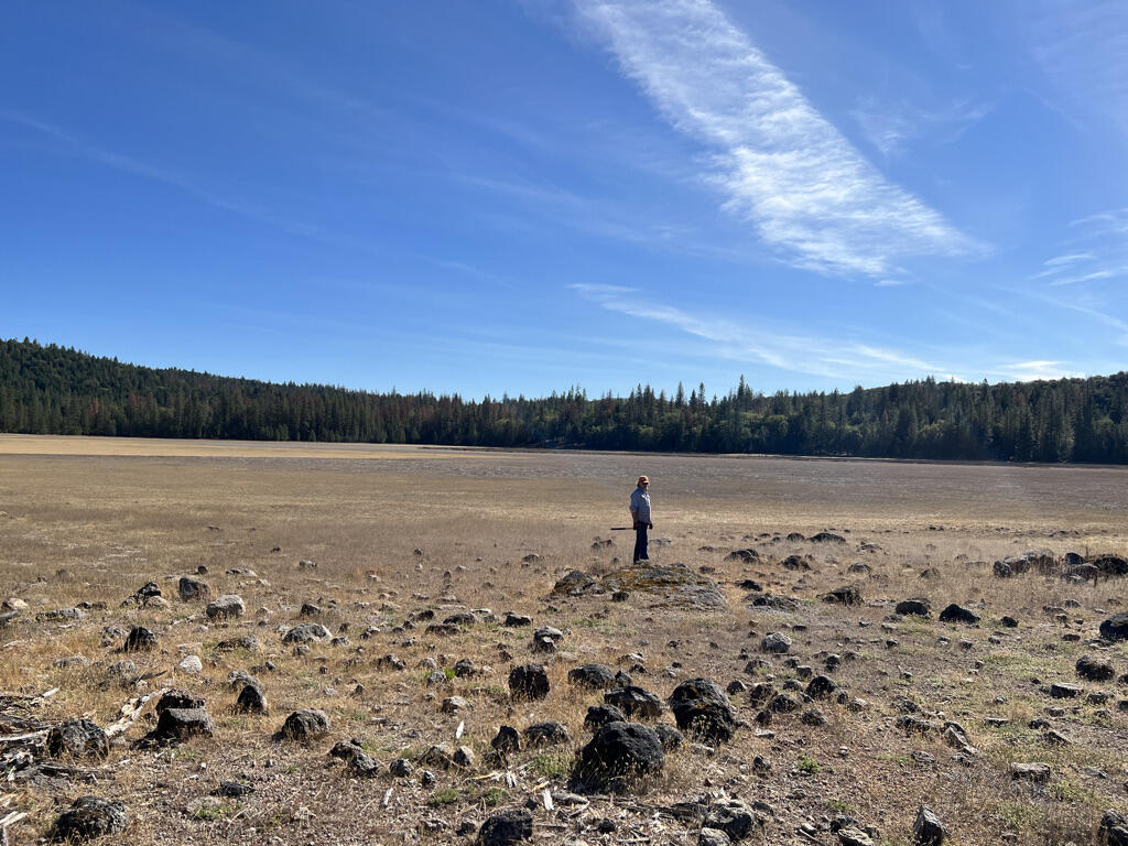 A geologist stands several dozen yards from the photographer on a rock mound in the middle of a grassy, waterless lakebed. 