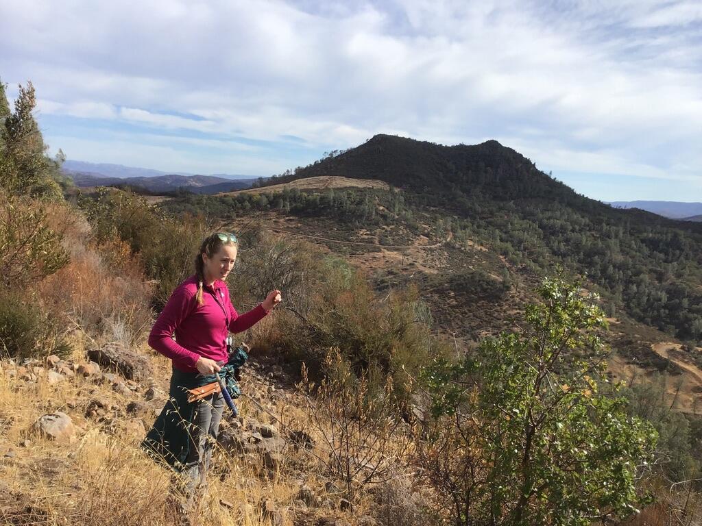 A female geologist in a bright fuschia shirt stands on a brushy slope in front of several conical hills