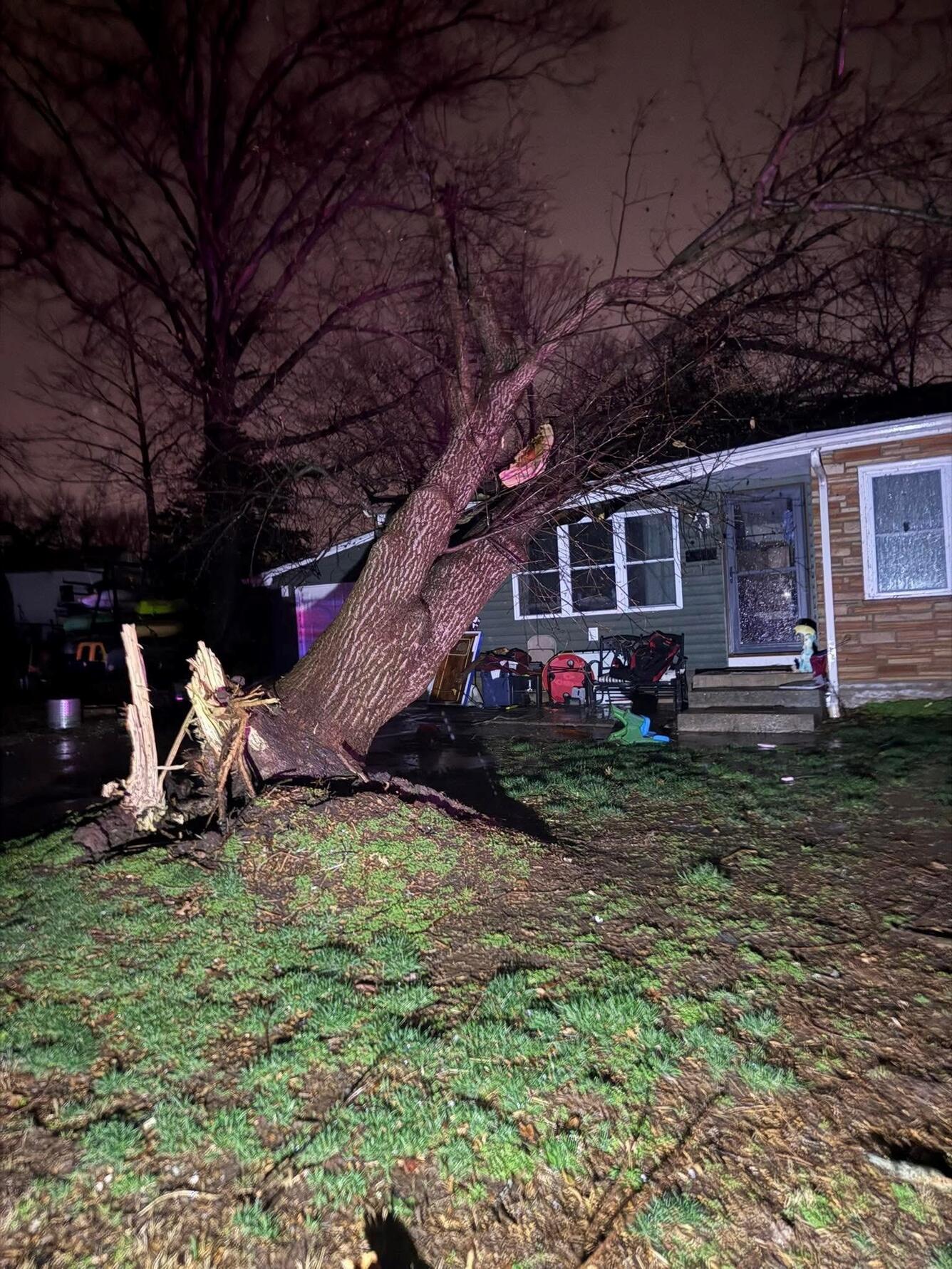 Tree falls on a house