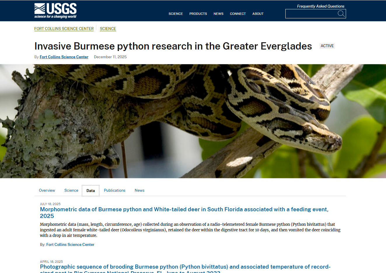 Screenshot of Drupal project page featuring Invasive Burmese python research