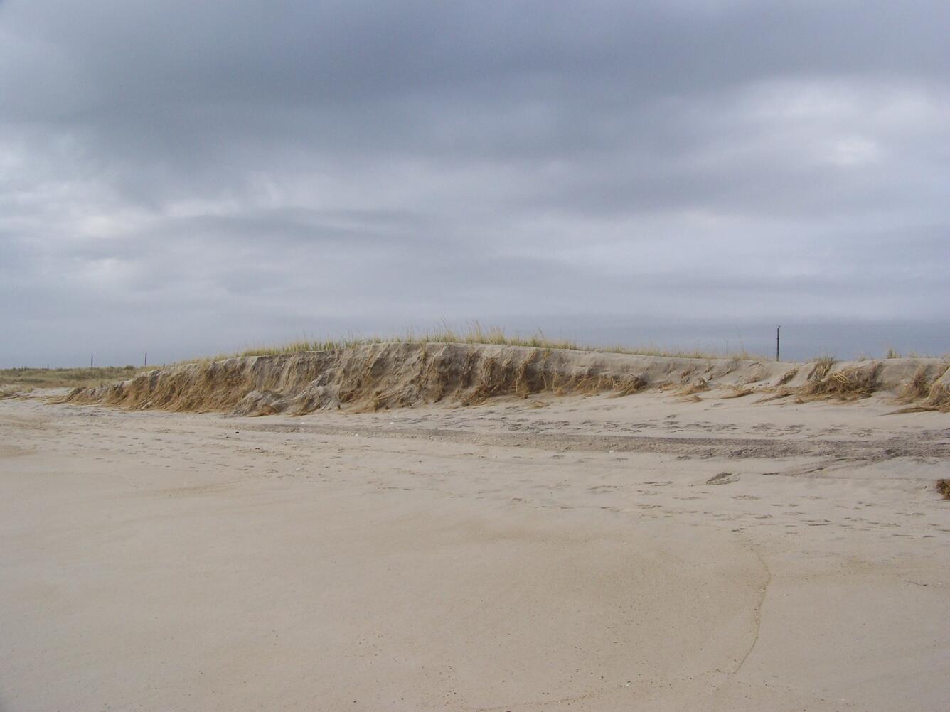 A beach with an eroded ocean dune with some vegetation on top, cloudy sky overhead