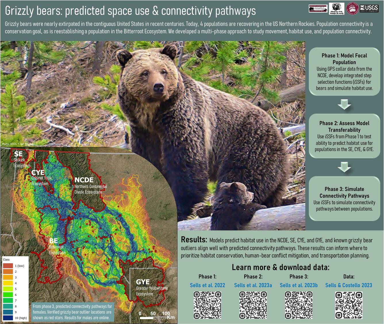 grizzly bear poster with brown grizzly bears and maps