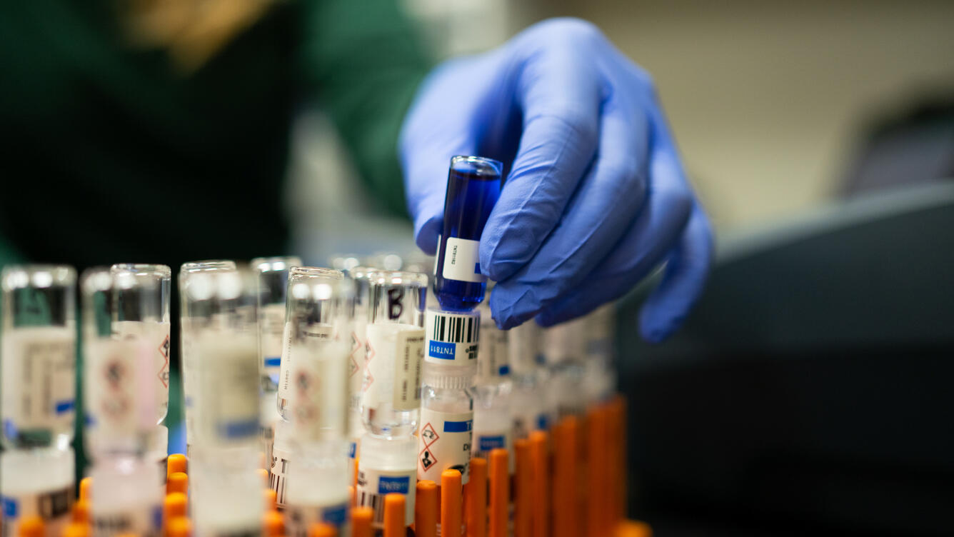 A scientist picks up a sample from a tray of samples in a lab.