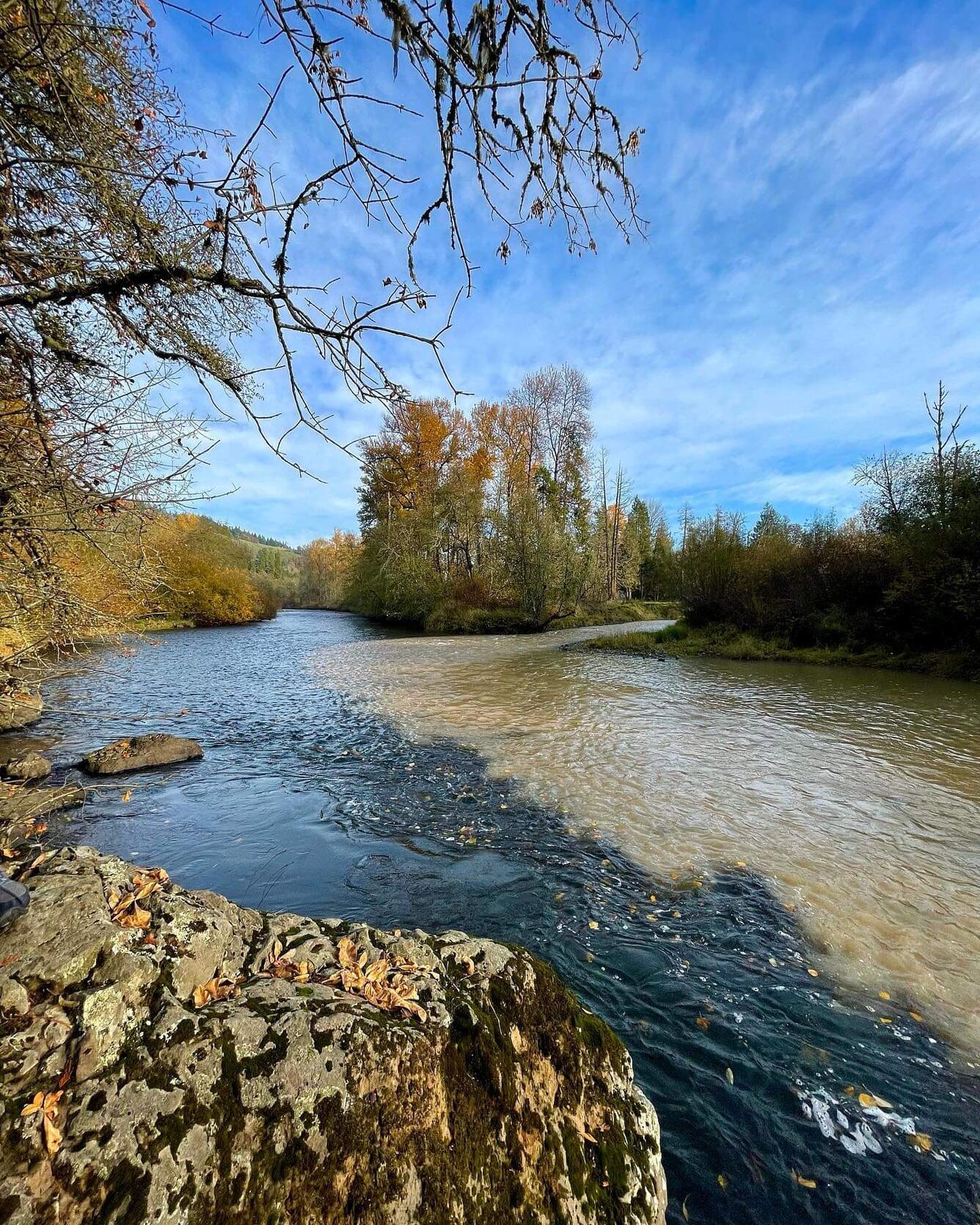 Brown water meets clear water