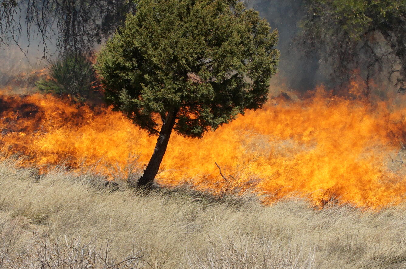Controlled Burn at Fort Huachuca