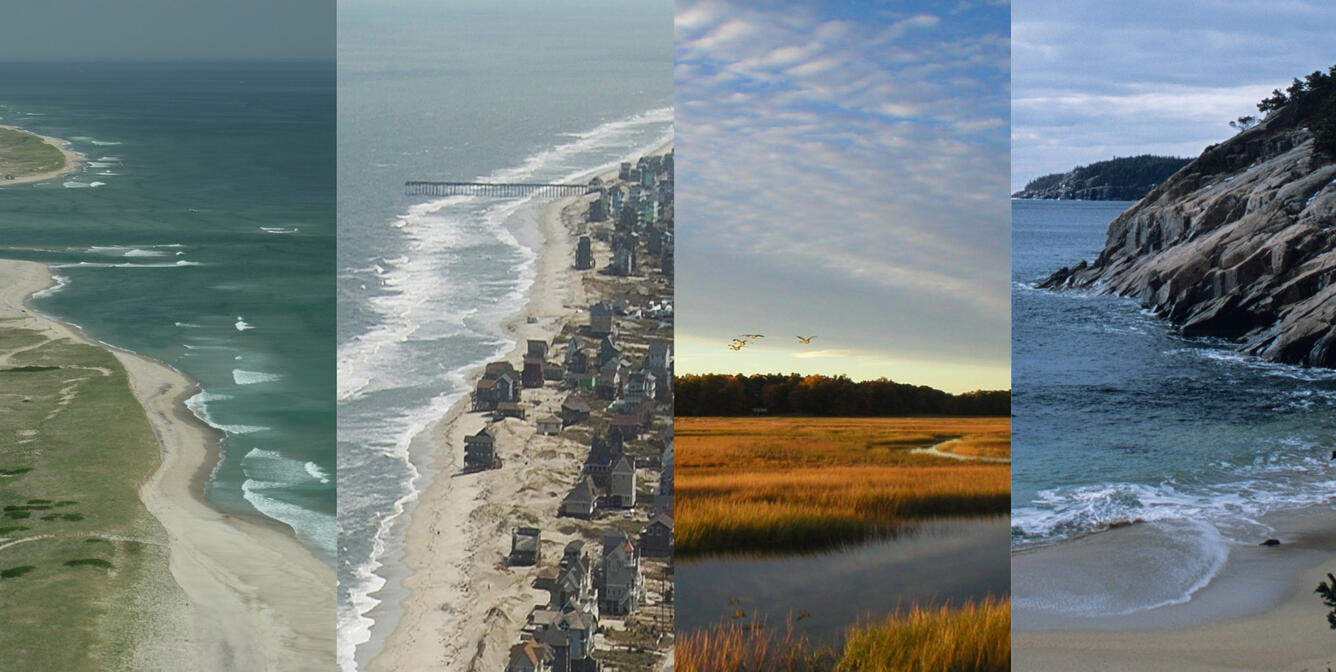 Four photos of various coastal environments