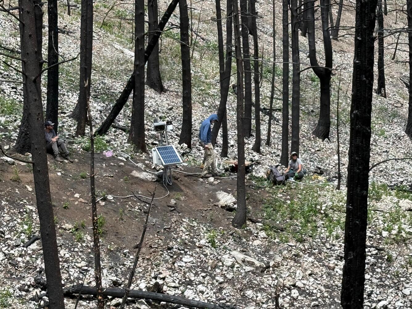people and equipment on hillslope that is covered with burned trees and loose rocks