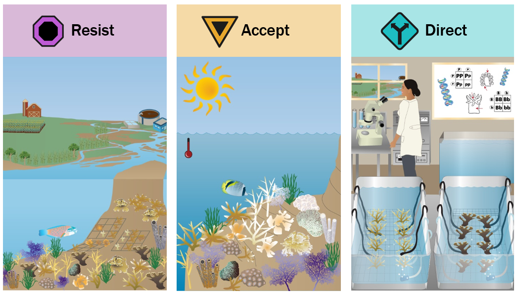 A three panel illustration showing how to resist, accept, or direct change in the Florida Reef Tract. 