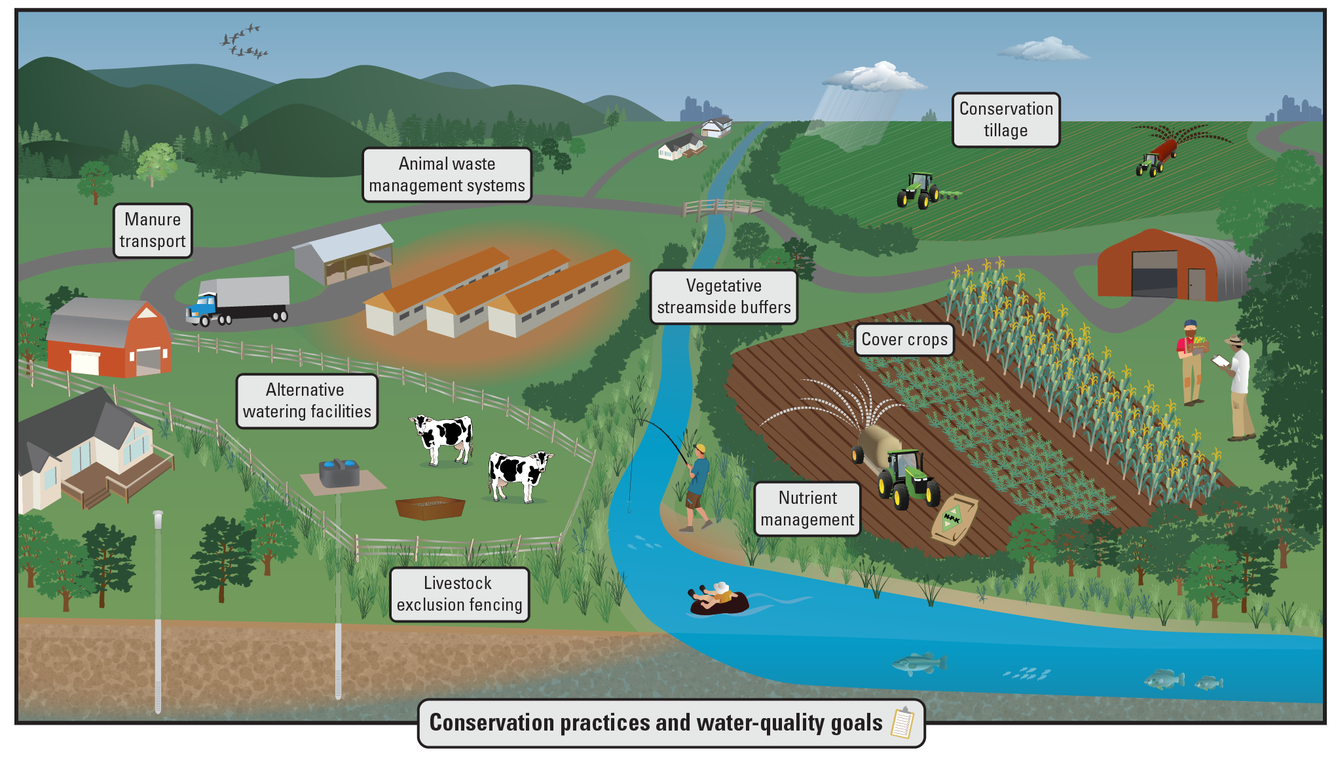 Infographic showing agricultural conservation practices and how they contribute to water quality goals.