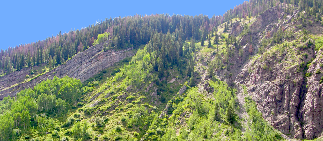 geologic outcrop with fold and fault