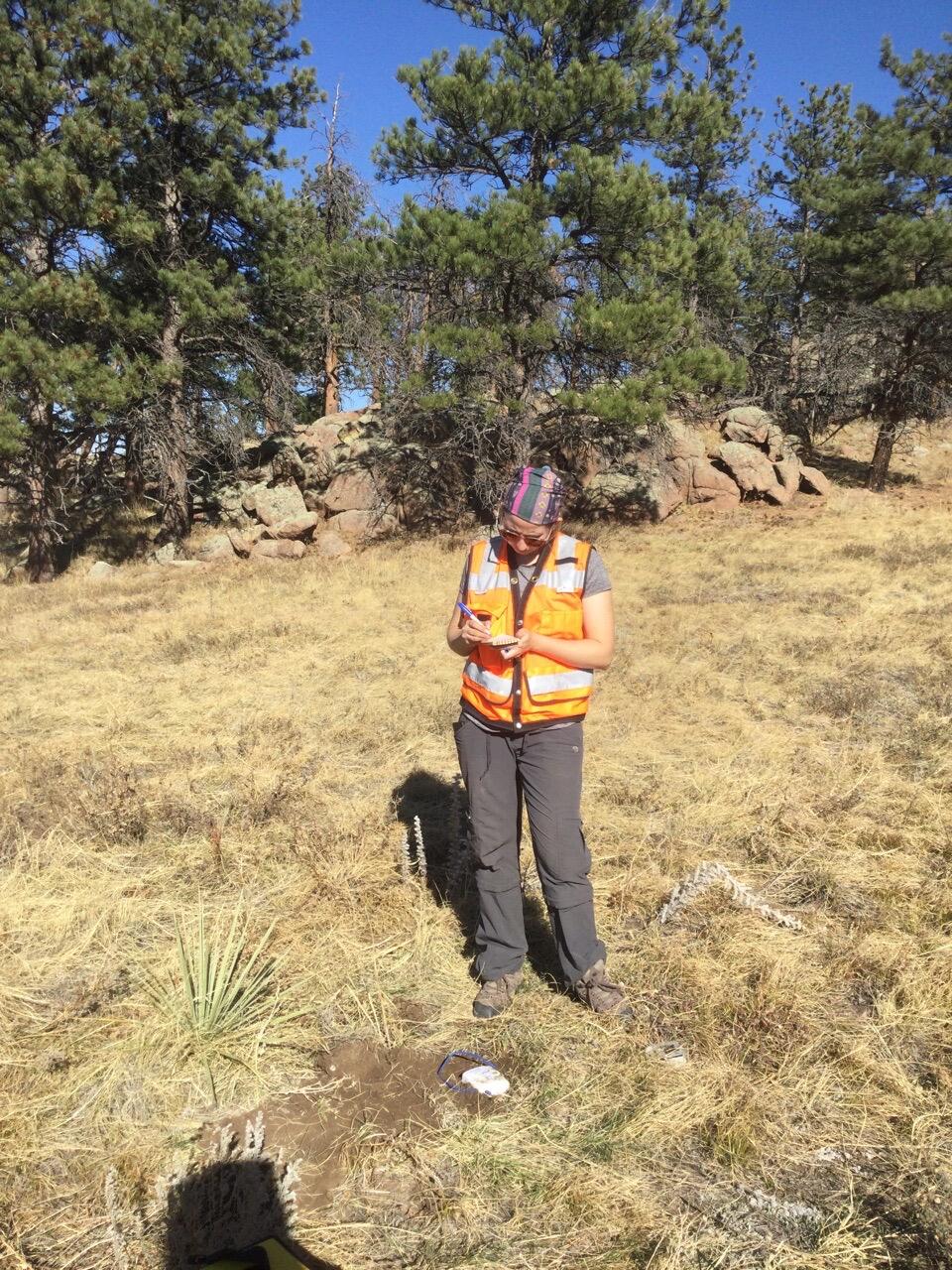 scientist standing in field