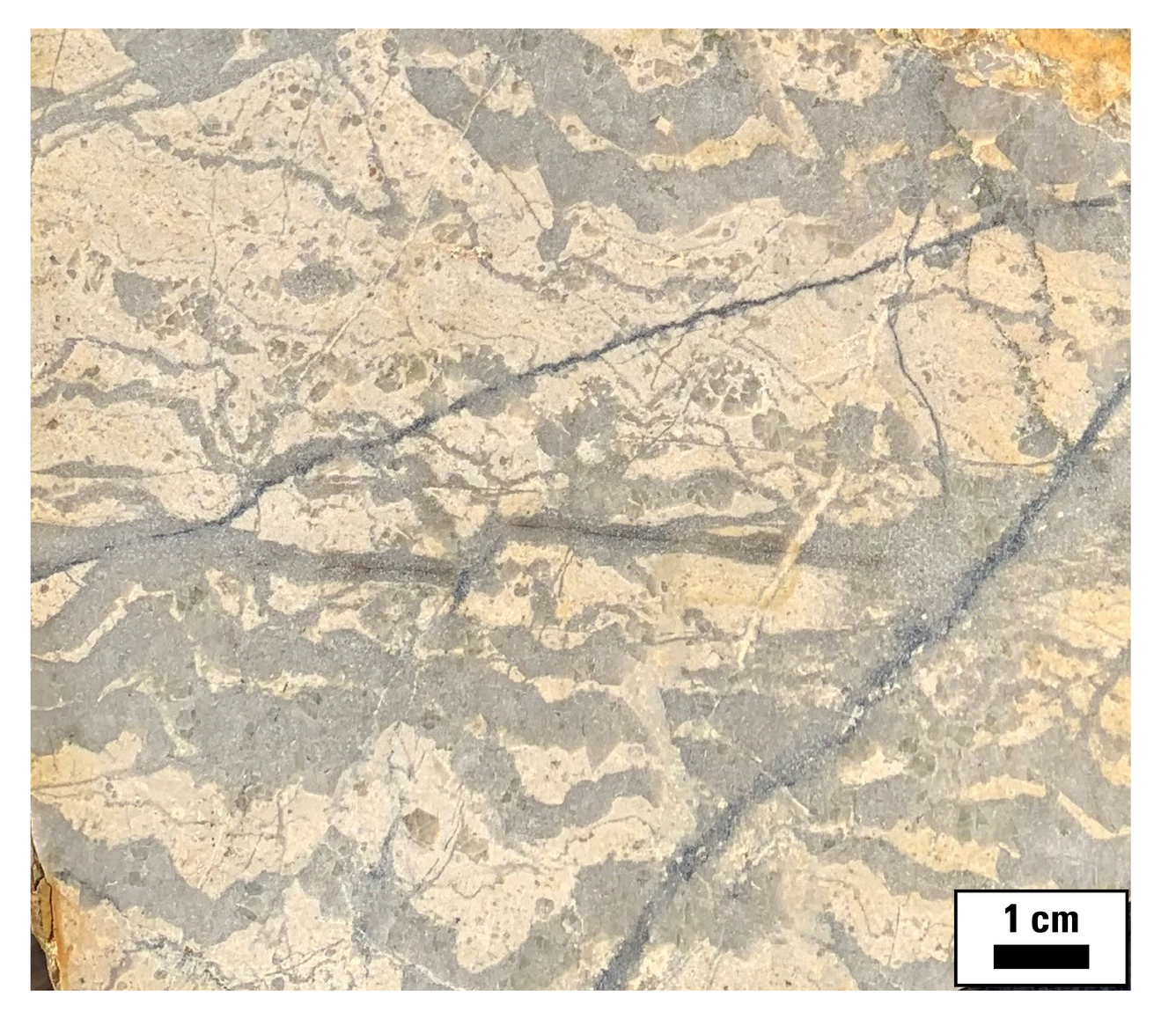 rock cut with molybdenite veins