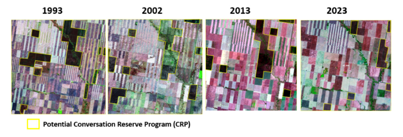 A grid of four blocks of the same land overlaid with colors that change from block to block
