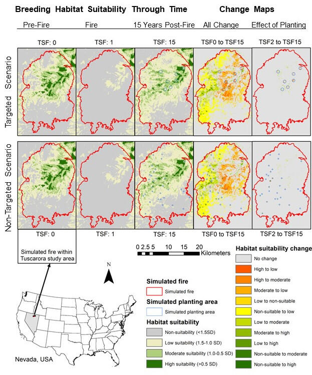 Change maps of breeding habitat suitability over time, including where in America the maps are focused and a color key